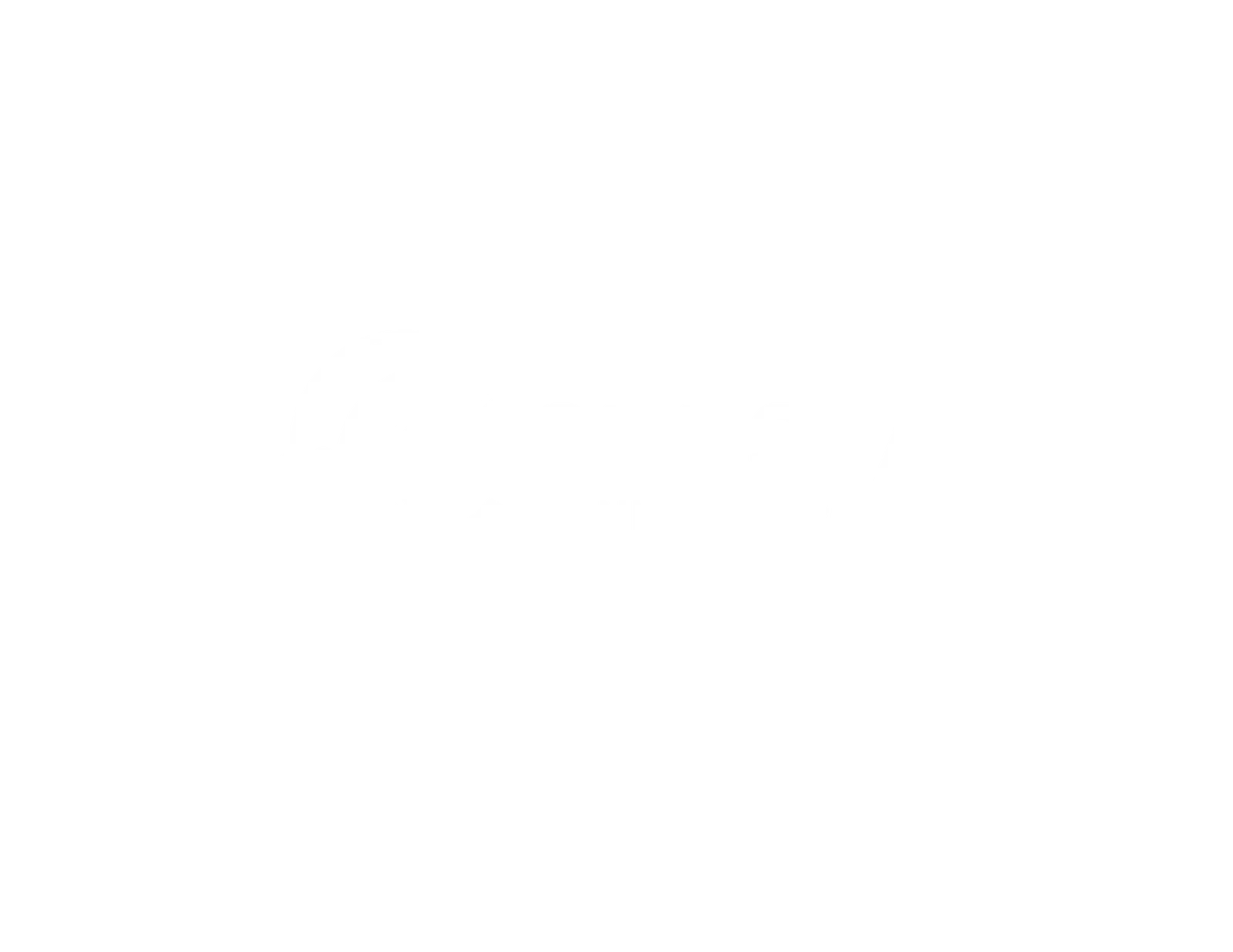 Logo Cresta Connect Pro